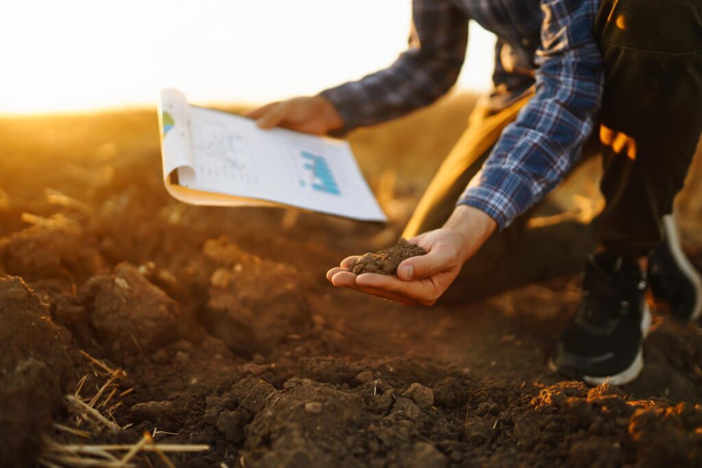 Soil Report